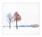 Inverno... Inverno...