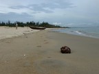 Cua Dai Beach Cua Dai Beach