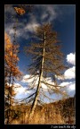 I can touch the sky I can touch the sky