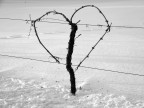prendete a cuore la natura... prendete a cuore la natura...