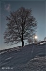Mattino d'inverno - II Mattino d'inverno - II