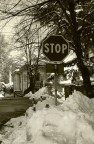STOP...alla neve! STOP...alla neve!