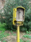 Pronto taxi? Pronto taxi?