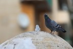 Ma è fredda! Ma è fredda!