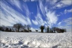 Paesaggi Invernali Paesaggi Invernali