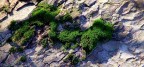 From above From above