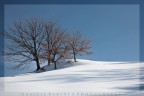,,collinetta.... ,,collinetta....
