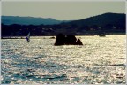 Mare. Mare.