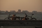 non siamo al tramonto non siamo al tramonto