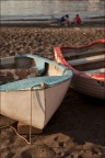Compagni di Gioco Compagni di Gioco