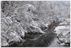 Winter river Winter river