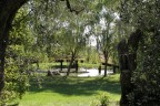 Un ponte D'Amore Un ponte D'Amore