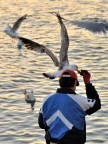 Al volo Al volo
