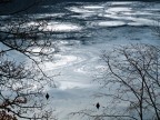 Cerchi nel lago Cerchi nel lago