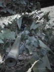 Sniper Sniper