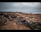 Iceland 5