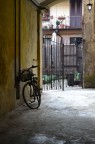 Abandoned Abandoned