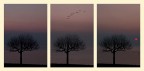 Sequenza Sequenza