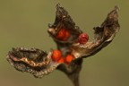 f5.6... ( file1903 ) f5.6... ( file1903 )