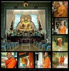 BUDDISMO: sfumature di rosso, di giallo e di vita