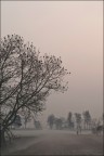 Il respiro dei campi Il respiro dei campi
