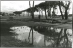 Il riflesso Il riflesso