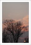 Quando gli alberi bruciano Quando gli alberi bruciano