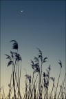 La nuit La nuit