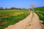 Strada di campagna? Strada di campagna?