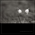 Canon 60D 
Sigma 150mm f/2.8 EX DG OS HSM Macro 
f/3.5
1/200