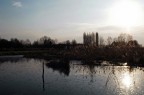 palude palude