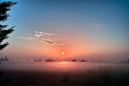 Fog Fog