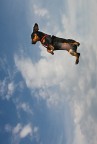 volareeeee volareeeee