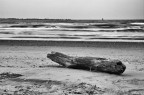 Solitudine Solitudine