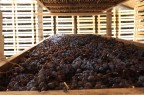 posto altre foto di una cantina in valpolicella sperando siano di vostro gradimento.
consigli su luce e composizione sono sempre ben accetti!!!