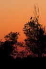Sul Po al tramonto Sul Po al tramonto