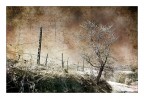 Paesaggio (interpretazione #3 )