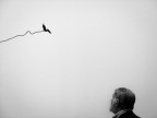 13220 13220