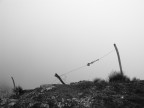 Spring fog Spring fog