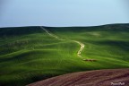 colline colline