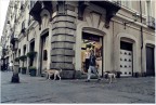 Torino,Via Garibaldi
