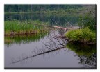 Algonquin Park - Canada Algonquin Park - Canada