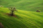 Toscana Toscana