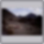 Ritratto Ritratto
