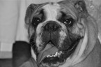 Fiona Fiona