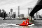 Red Boat Red Boat