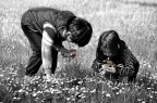 Piccoli gesti. Piccoli gesti.
