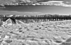 Vigneto innevato