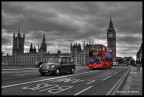 bus line bus line