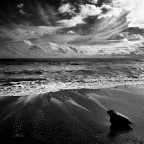 Mare BN Mare BN